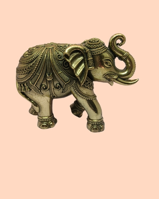 light bg product image (19)